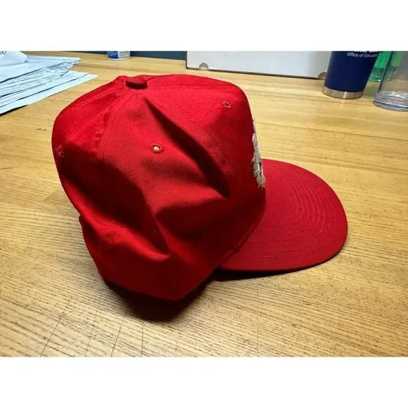 Vintage San Francisco 49ers Hat Snapback Pro Model New Era Splash Spellout - Picture 7 of 10